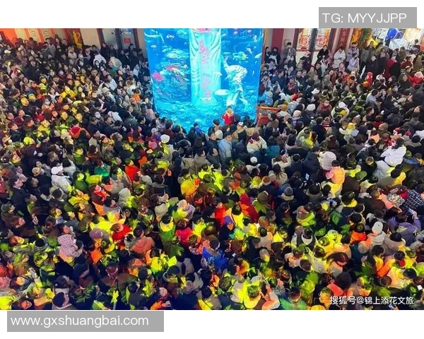 在乐玩国际，尽享每一次独特体验，感受尊贵服务的无与伦比